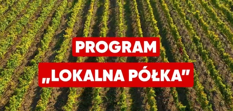 „Ta zmiana dotyczy każdego Polaka”. PiS stawia na polską żywność [ZOBACZ SPOT]