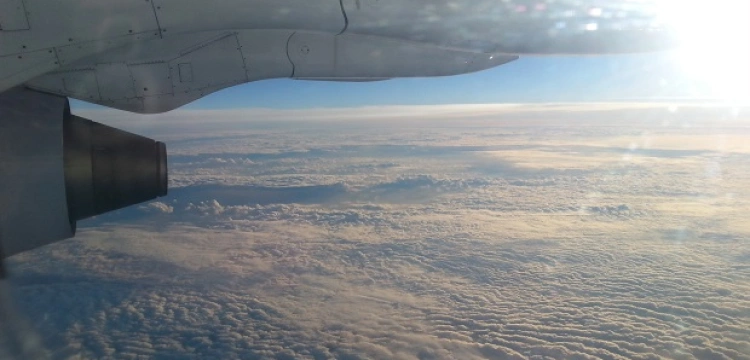 Siostra Kandyda: Czy normalne jest normalne?