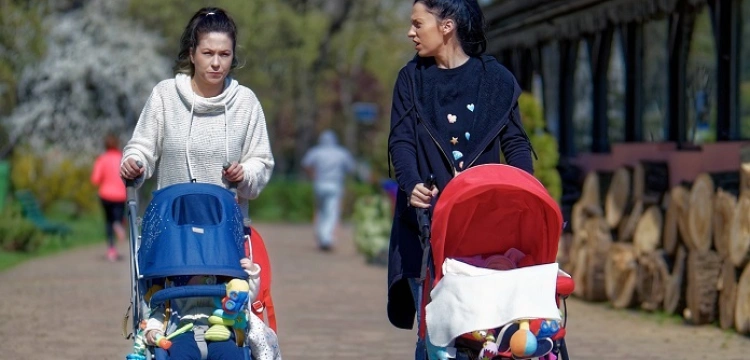 Wyprawa w świat wózków: Praktyczny przewodnik po typach, wyborze i pułapkach zakupowych