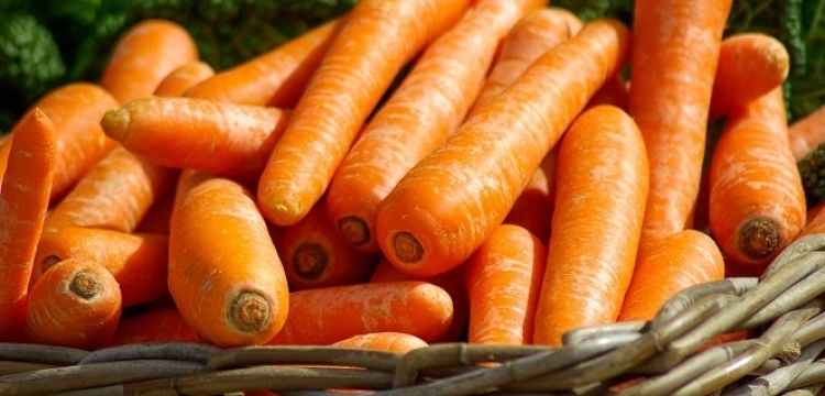 Najlepsze przepisy z marchwią, tego musisz spróbować!