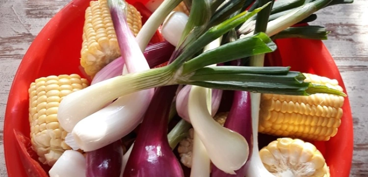 Apteka z twojego ogródka: Młoda cebula - smaczna i zdrowa