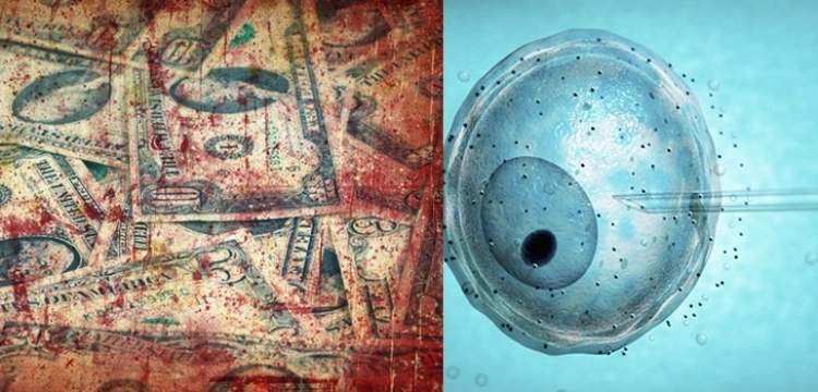 Terlikowska: Mroczne strony in vitro