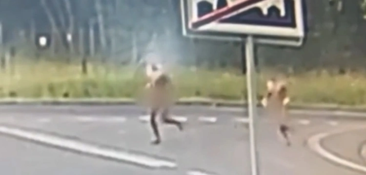 Nagi incydent w Lubinie: dwaj Etiopczycy wybiegli z zarośli