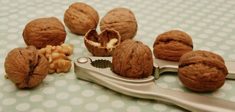 Orzechy dobre na serce, płodność, mózg i młodość!