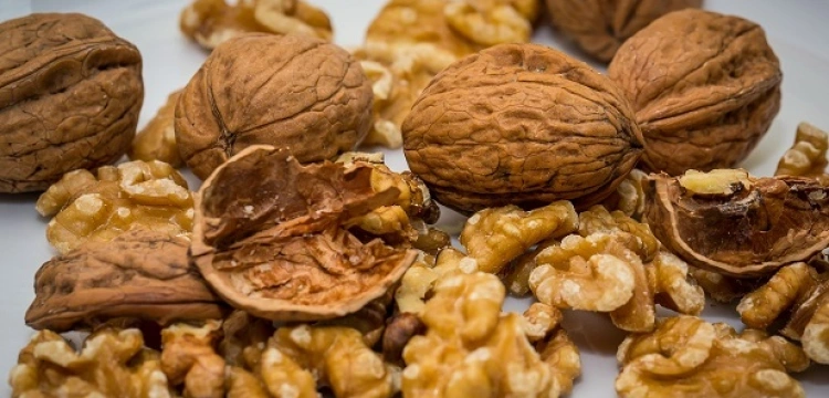 Orzechy włoskie, czyli nakarm swój mózg