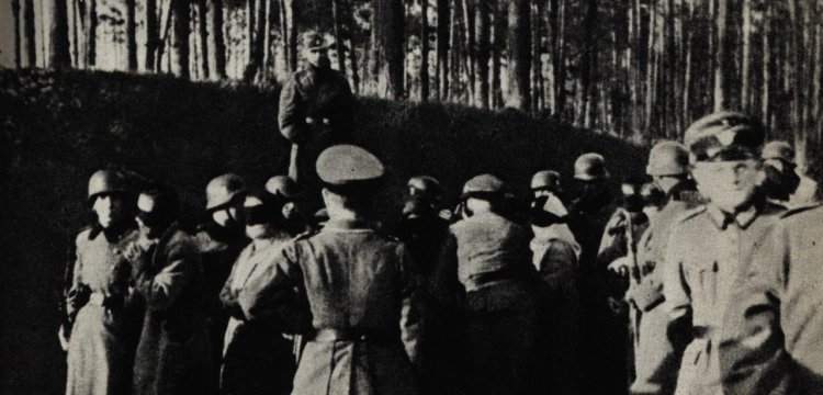 Niemieckie zbrodnie w Palmirach. Znaleziono kolejne szczątki