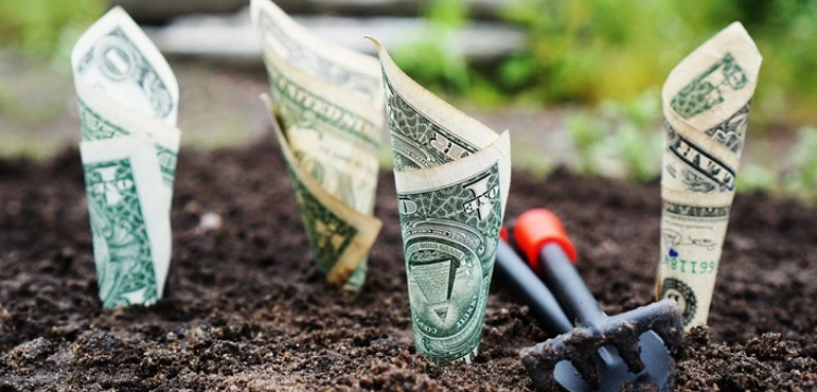 Między biznesem a religijnością. Kontrowersje wokół „sekt biznesowych”