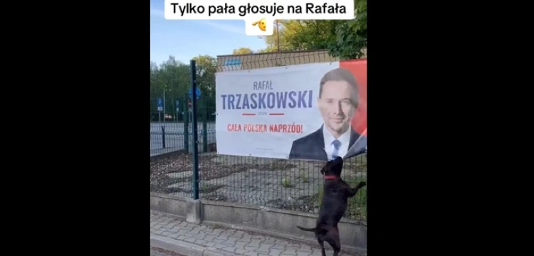Pies, który nie głosuje, ale też nie lubi Rafała [Wideo]