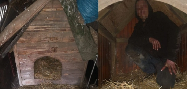 Cela plus! Schował się w psiej budzie - był poszukiwany, pijany i z sądowym zakazem prowadzenia pojazdów [Wideo]