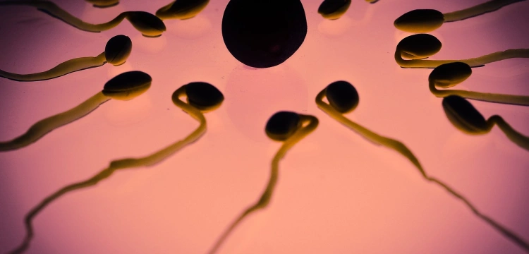 Rosja będzie za darmo mrozić spermę żołnierzy wysłanych na wojnę z Ukrainą