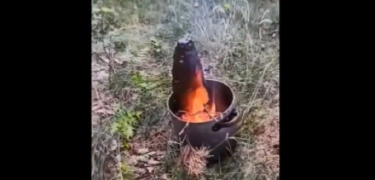 Podpalili pocisk artyleryjski i... poszli. Staną przed sądem [Wideo]