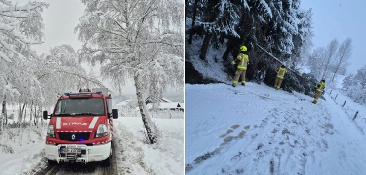 Podkarpacie sparaliżowane po ataku zimy. Dziesiątki tysięcy domów bez prądu, setki interwencji służb