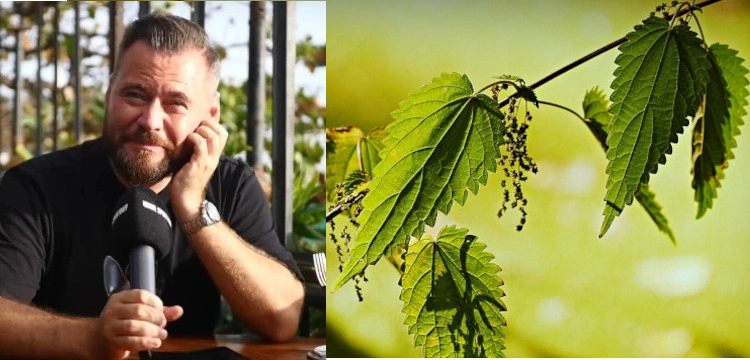 Stanowski szydzi z Siemoniaka: Ja bym sadził pokrzywy. Wtedy wróg nie przejdzie