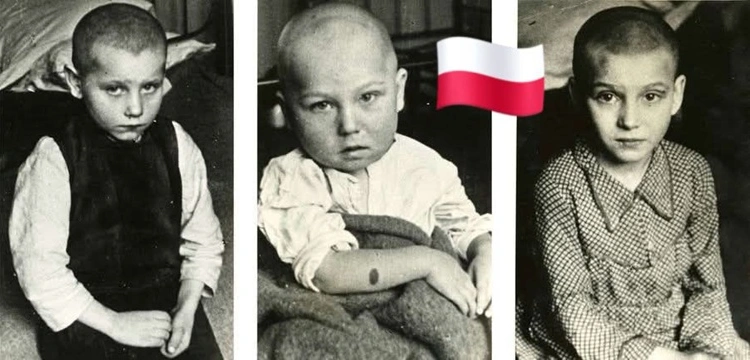 Pociągi, które miały zabić. Historia dzieci Zamojszczyzny i niemieckiego terroru wobec najmłodszych