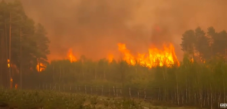 Trwa dramatyczna walka z pożarem pod Biłgorajem [Wideo]