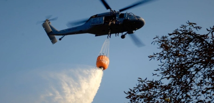 Kolejny pożar. Płonie Puszcza Białowieska
