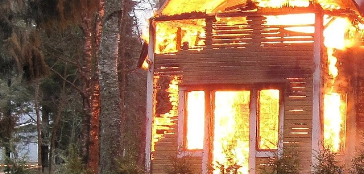 Cela plus! Zbrodnia rodem z kryminału. Skatowali kompana libacji i podpalili altanę z ciałem