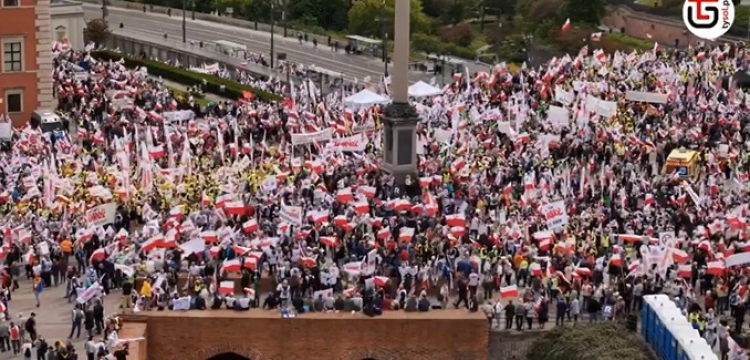 Cały świat gratuluje Polakom stanowczego NIE! wobec tzw. „Zielonego Ładu”