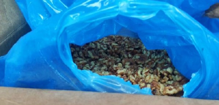 KAS zatrzymała transport z Niemiec do Polski 18 ton przeterminowanych bakalii z martwymi owadami