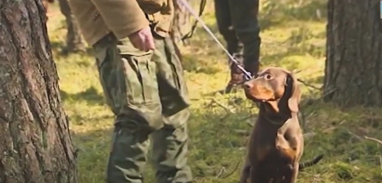 Komu nie pasuje pluralizm w polskim myślistwie? "Wstyd nie znać historii łowiectwa"