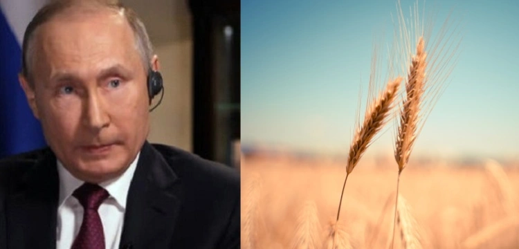 220 mln osób zagrożonych głodem z powodu wojny na Ukrainie