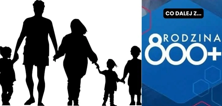 800 plus bez wniosków? Pojawił się projekt
