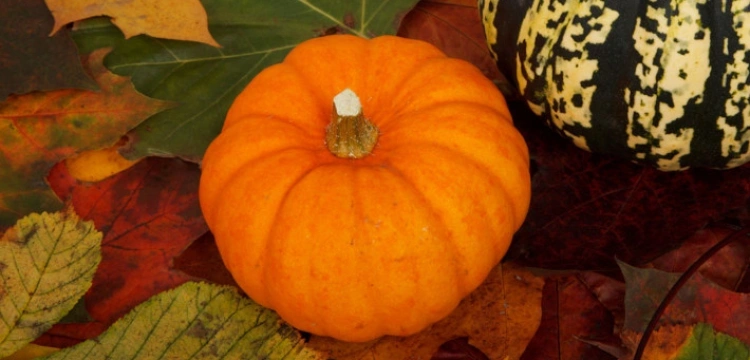 Kuchnia mojej mamy: Dyniowa na mleku z zacierkami