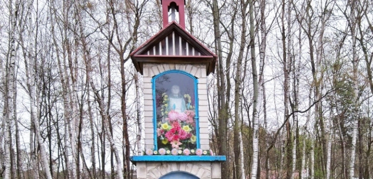 Ks. Marcin Klin: Historia nabożeństwa majowego