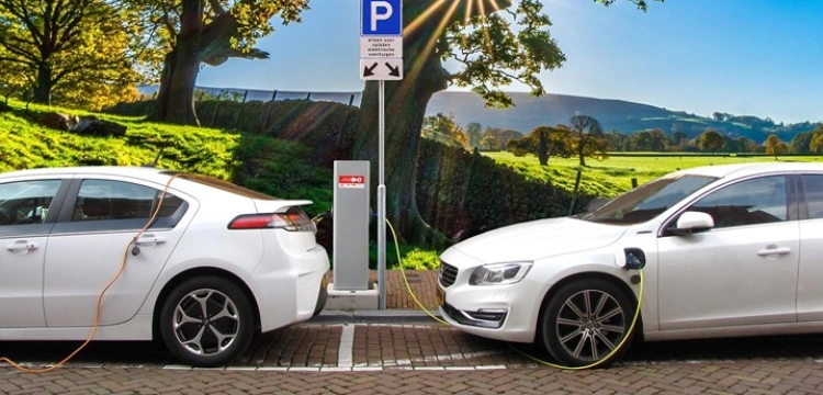 Maciej Bienert dla Frondy: Dopłaty do "eco" nie działają. Polacy wolą hybrydy od elektryków