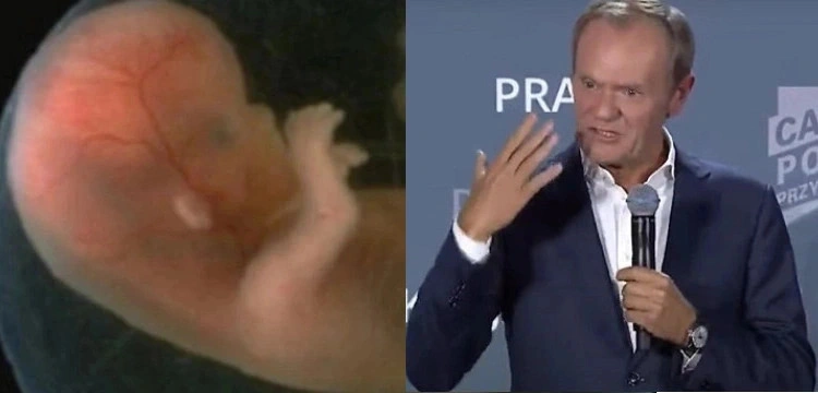 Kasta basta. Prokuratura aborcyjnie sterowana przez Tuska?