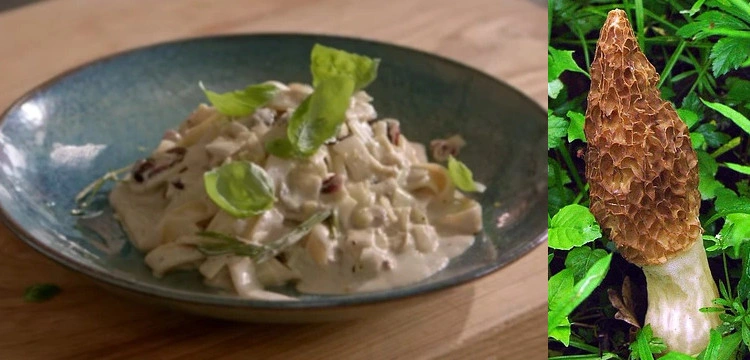 Makaron ze smardzami - luksus za grosze