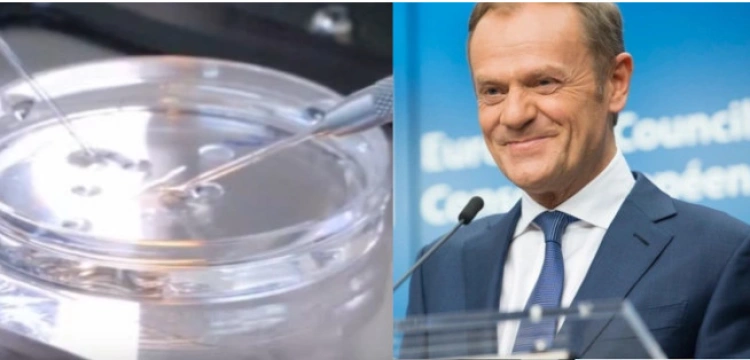 MEiN odpowiada Tuskowi ws. in vitro: Chory i obłąkany z nienawiści umysł