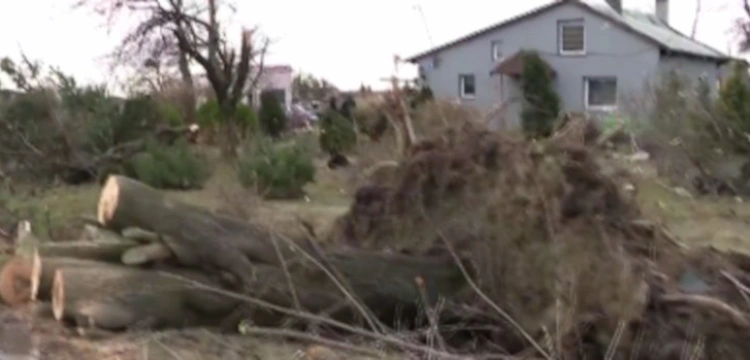 Ponad 1800 interwencji strażaków na skutek potężnej wichury nad Polską