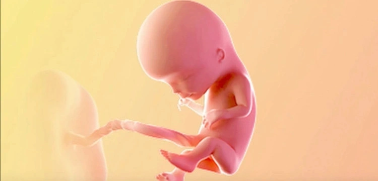 Obywatelski projekt „Aborcja to zabójstwo” złożony dziś w Sejmie