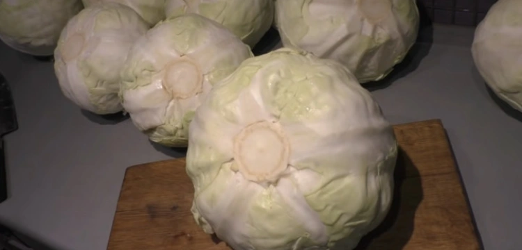 Listopad, a więc łowy na „kamienne głowy”