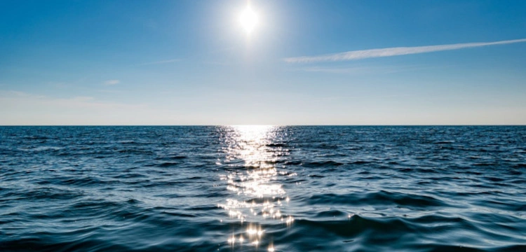 Niebywałe! Po 24 dniach odnaleziono na morzu mężczyznę. Życie uratowały mu… keczup i czosnek w proszku