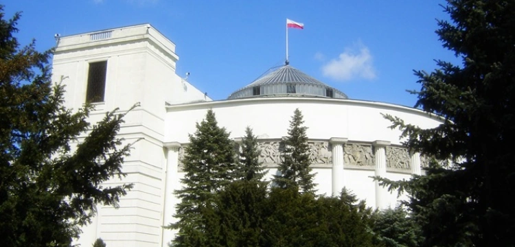 Nowy sondaż. PiS wyraźnie w górę, KO dalej w dół, Konfederacja w dół