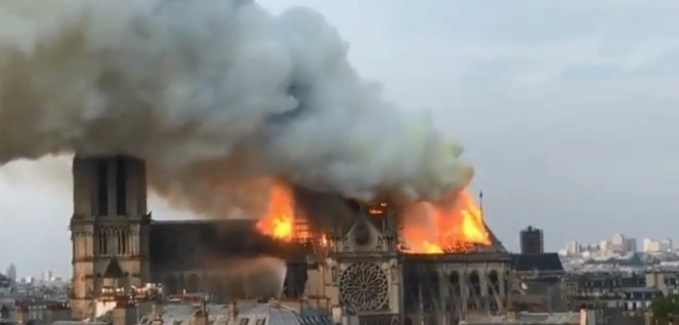 Katedra Notre Dame - wykonano już więźbę dachową