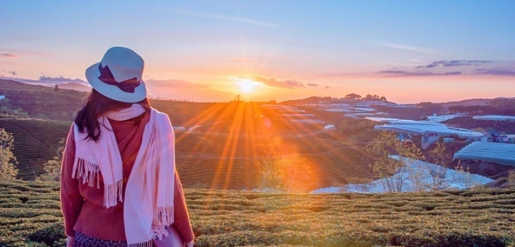 Uwaga! 90% Polaków ma niedobór witaminy D! Jest wiosna - KORZYSTAJMY!