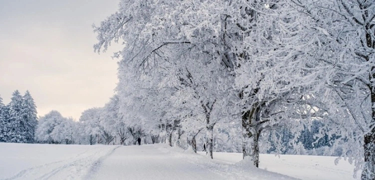 Mrozy w Polsce zbierają śmiertelne żniwo
