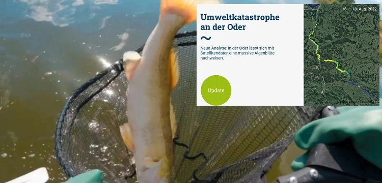 Zdjęcia satelitarne Odry opublikowane przez niemiecki portal rzucają nowe światło na przyczyny katastrofy ekologicznej