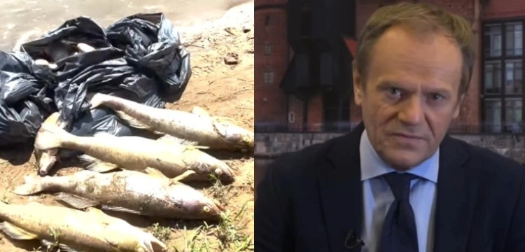 Odnalazł się Tusk. I znów atakuje PiS ws. Odry