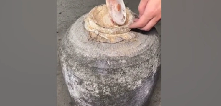 Hiszpania. Wino sprzed 2000 lat nadal płynne