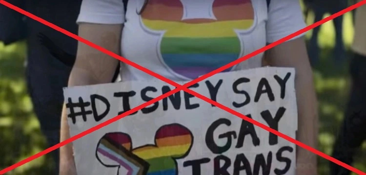 Floryda. Disney przywołany do porządku - katolicki gubernator usuwa lewacką ideologię z przedszkoli i szkół