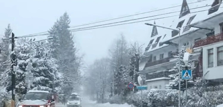 Tatry sparaliżowane przez śnieg. Drzewa łamią się jak zapałki, zamknięto cały park
