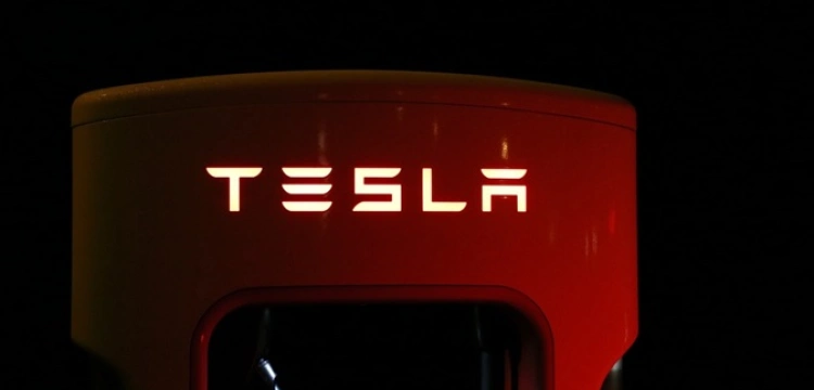 Berlin. Pożar w fabryce Tesli: czy ekoaktywiści podpalili słup energetyczny?