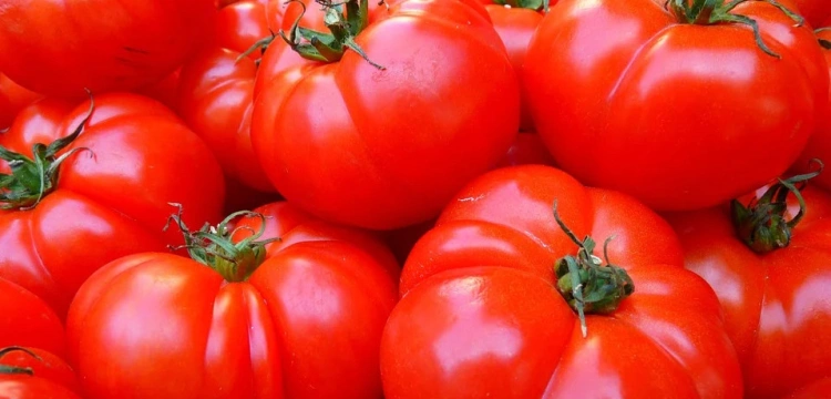 Domowy koncentrat pomidorowy to smak lata przechowany na zimowe dni