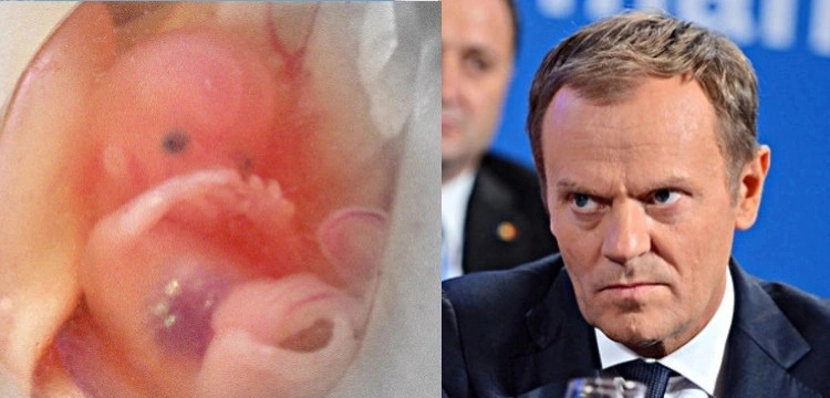 „Od teraz PO będzie partią w 100% hitlerowską”