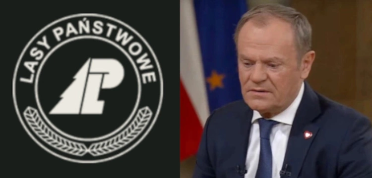 Tusk uderza w polskie lasy