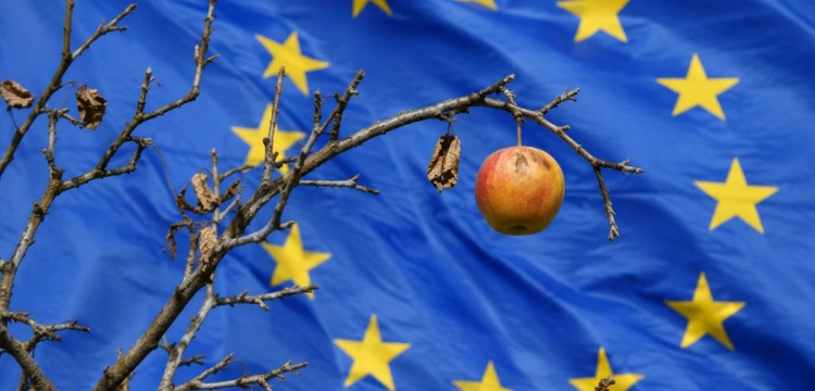 Kuźmiuk: Wygląda na to, że pomoc przymrozkowa UE będzie dopiero w grudniu i to w wysokości „na waciki”